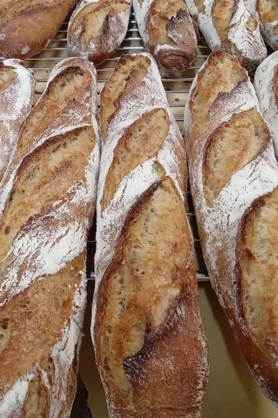 Baguettes semi-complètes au levain naturel, cuites à la ferme de Logonet, Sauzon, Belle-Île-en-Mer