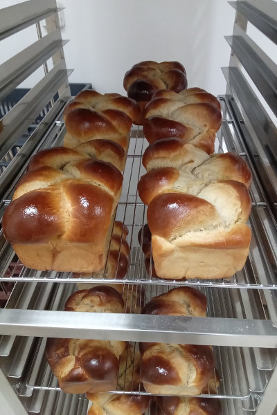 Brioches tressées artisanales dorées sur grille de refroidissement, Ferme de Logonet, Sauzon, Belle-Île-en-Mer