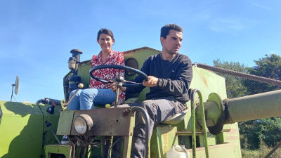 Maria et Joachim sur leur moissonneuse-batteuse, paysans bio à Sauzon, Belle-Île-en-Mer